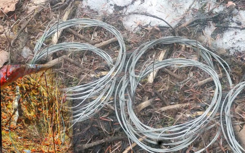 बारेकोटका वन क्षेत्रमा वन्यजन्तुको चोरी शिकारी बढ्दो