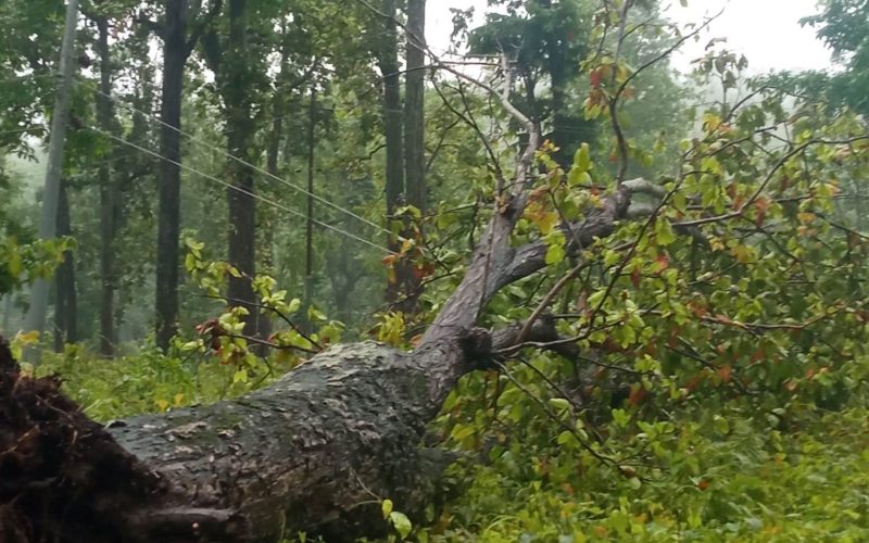 कर्णालीको विद्युत सेवा अवरुद्ध