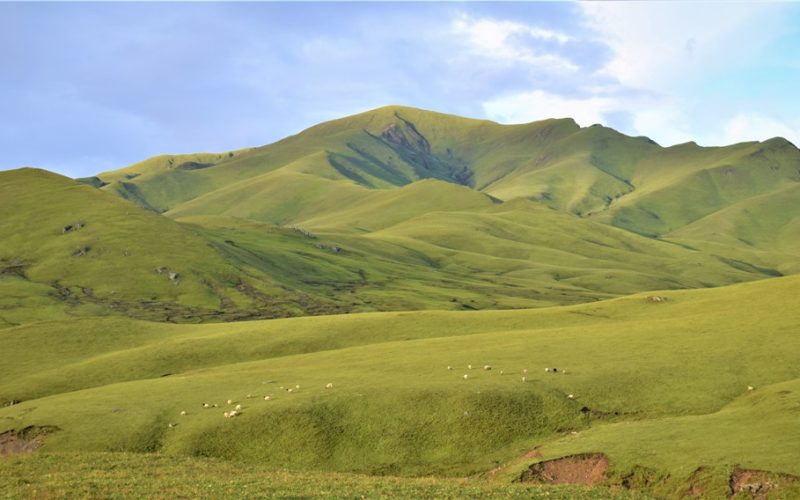 कर्णाली प्रदेशका खर्कहरु संरक्षण गरिदै