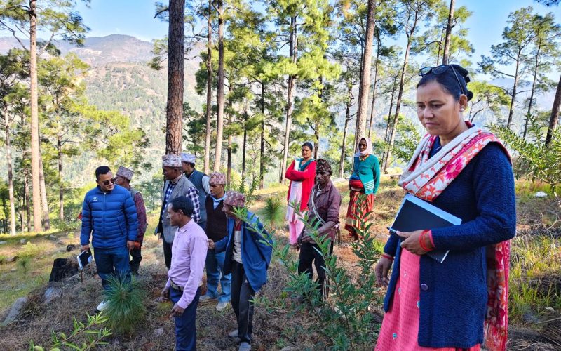 फर्किदै जंगल, बदलिँदै जीवन : ‘माइ फरेष्ट चाइल्ड’ परियोजनाको प्रभाव